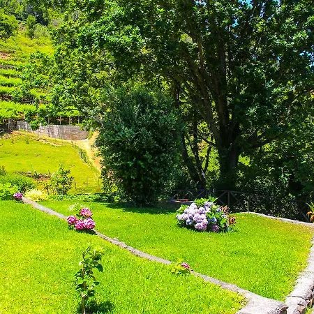 Guest house Solar Do Carvalho Sao Vicente (Madeira)