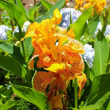 Solar Do Carvalho 4*