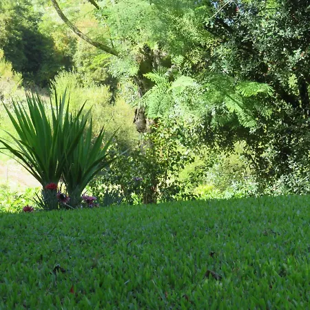 Solar Do Carvalho São Vicente