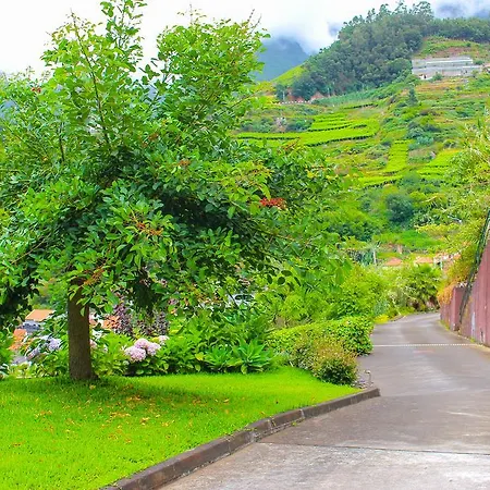 Solar Do Carvalho Casa de hóspedes