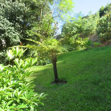 Гостевой дом Solar Do Carvalho