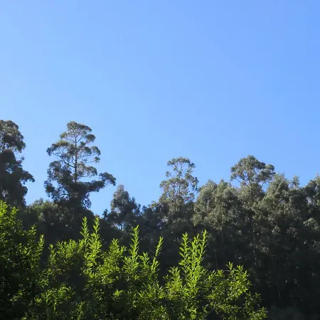 Solar Do Carvalho Гостевой дом 4*