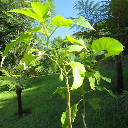卡瓦罗阳光酒店 São Vicente