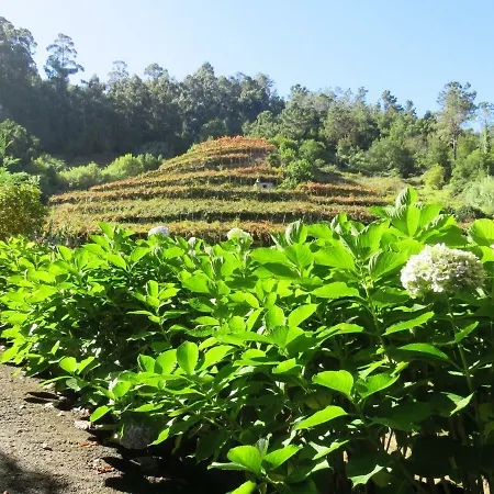 Casa de hóspedes Solar Do Carvalho