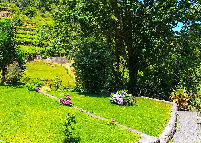 Гостевой дом Solar Do Carvalho Сан-Висенти