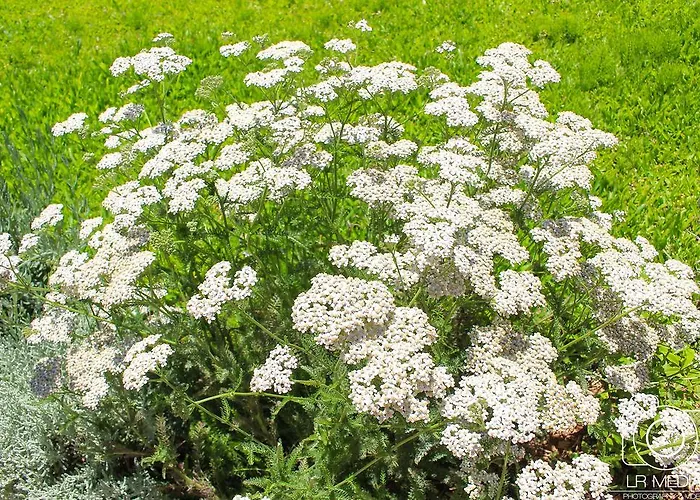 卡瓦罗阳光酒店 招待所