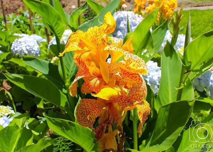 Solar Do Carvalho 4*