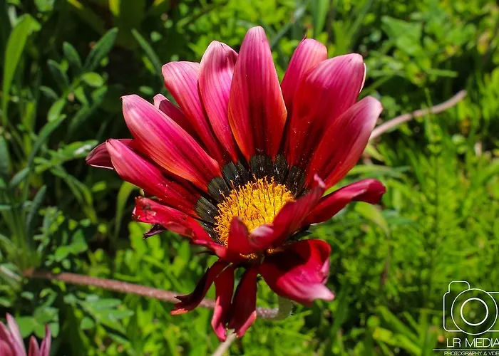 招待所 卡瓦罗阳光酒店 4*