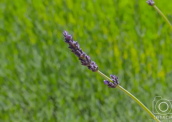 卡瓦罗阳光酒店 招待所 4*