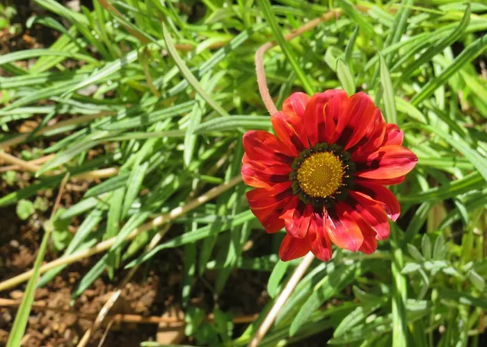 招待所 卡瓦罗阳光酒店