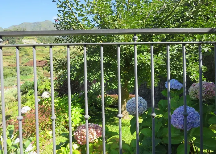 Гостевой дом Solar Do Carvalho 4*