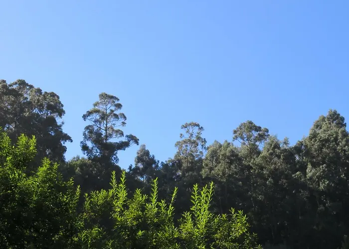 卡瓦罗阳光酒店 招待所 4*