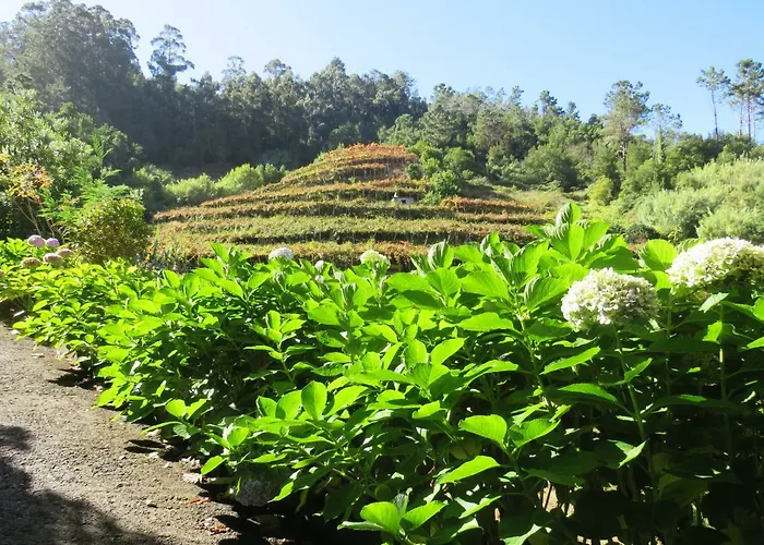 Гостевой дом Solar Do Carvalho