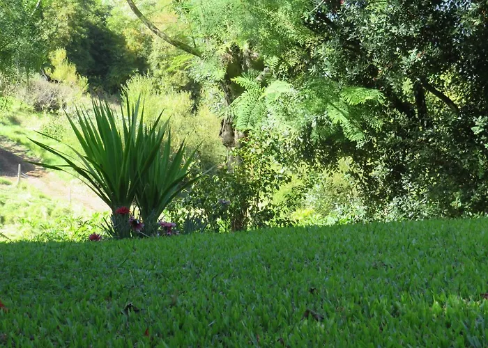 Solar Do Carvalho Сан-Висенти