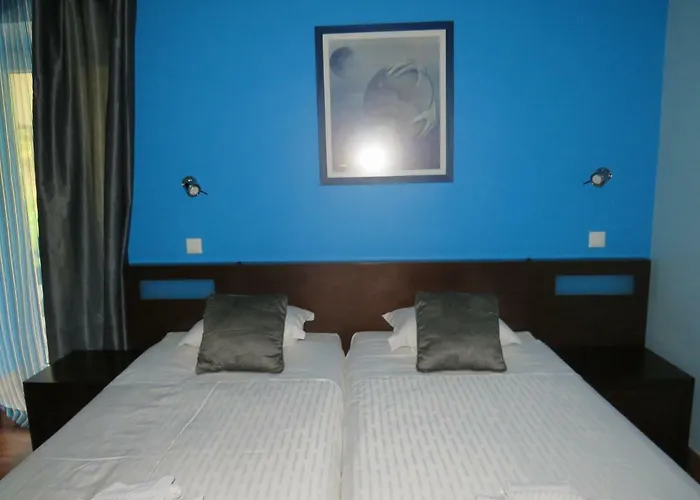 Гостевой дом Solar Do Carvalho